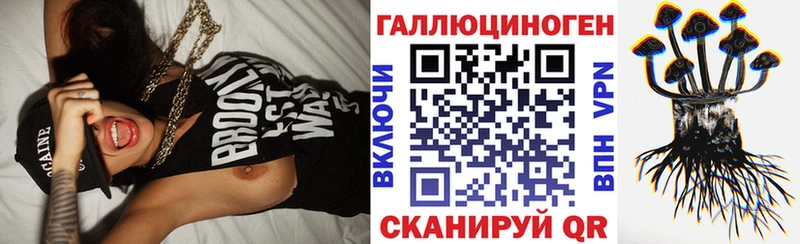 Псилоцибиновые грибы GOLDEN TEACHER  Купить закладки  Осинники 
