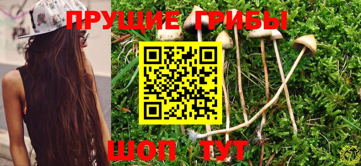 Осинники  Галлюциногенные грибы мухоморы  Галлюциногенные грибы Magic Shrooms  Вход с VPN 